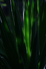 115B6587-455D-4F71-B02E-9C28D0FC44F3/L0/001