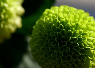 A95919B4-2D2F-43A6-9335-9DB10D126FA4/L0/001