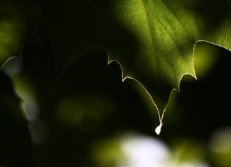 A99042B4-79C0-40BD-B5D7-EDA659CA6F4A/L0/001
