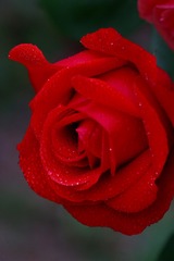 E69C6110-DC6F-4BE9-93B4-106DDD15D14A/L0/001