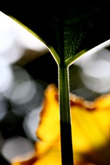 D813569C-3177-4426-959E-D542C6C8029F/L0/001