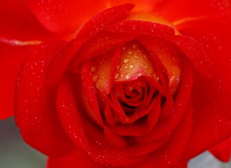 F0C02505-23C7-4DE2-B25C-69C27E2CFE58/L0/001