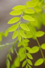 E5B211AE-1148-4C4E-B2A2-C7F0ECCD54F4/L0/001