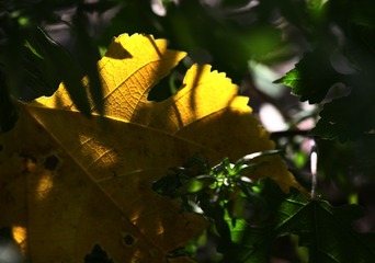 5162F3AA-A9C4-4D39-B413-9C8B18CC4489/L0/001