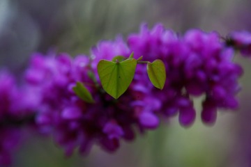 13C41D70-A394-468E-AFAB-B0E5573914FF/L0/001