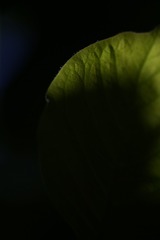 286B0B43-520C-4D22-A959-B980936EBAA5/L0/001