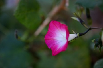 F1747F16-CA03-4A9C-909E-8D1507F9FC6E/L0/001
