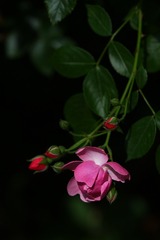 F90887A2-5143-4C74-B9D7-04142A96F506/L0/001