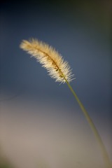 B0EE63EB-65D7-4EF1-95DE-4856AE95851F/L0/001
