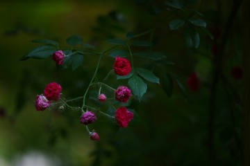 37AE221F-4843-4A2D-8298-3F19743CE922/L0/001