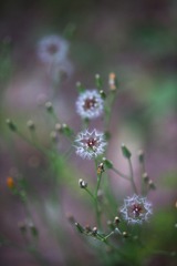 86C7729C-396D-4223-A600-7775FF193365/L0/001