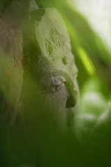 EECB9F01-1CEF-446C-B371-CF66177C33EF/L0/001