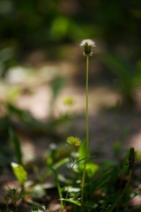 58076B74-B235-4C69-A258-4B9E82A9D7F9/L0/001