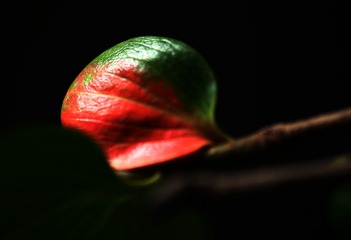 F015EE59-A3B0-4962-9524-0571CA31BC49/L0/001