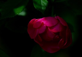 0B156991-C906-437B-A78C-614042CE6BA5/L0/001