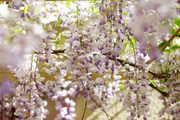1C191C0F-233C-47D4-AD4E-0CB44C92CE9D/L0/001