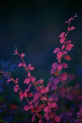 6190C91F-84B2-4B23-A915-763495A9FDAF/L0/001