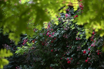 98C90346-6F20-4694-AD4A-747783A90CFF/L0/001