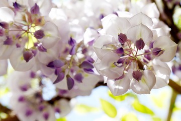00C8CA21-97BB-41A7-A768-95FDBCDD3781/L0/001