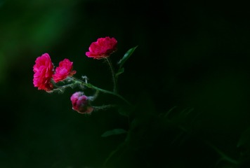 0D2B2949-8E22-4682-A874-D17010453429/L0/001