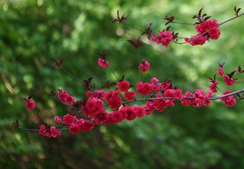 4D4EACE0-9C53-4134-BB09-CF462D231C34/L0/001