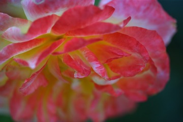 09779E7C-8A9B-4E81-BF4D-6BD895355EE8/L0/001