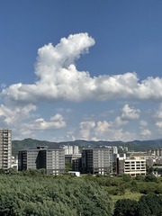 6281B132-79C6-4325-B6B6-0D86D505AB55/L0/001