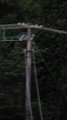 299463