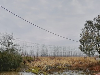 C4F77164-187C-4695-B4CB-E71A5DE33D15/L0/001