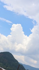 1000163541