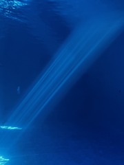 F02CAC1D-D343-408D-892A-8D71F35A431D/L0/001