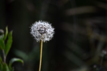 836671