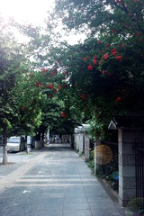 7DAC90F6-E2F2-45B0-8052-D9932C53FEFA/L0/001