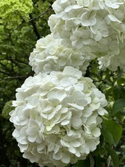 E5497F8A-394F-440E-AD70-896255767FD7/L0/001
