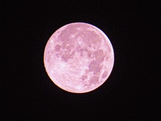 6F34B15A-FD81-4B9A-9C22-8C0BA3A64DF1/L0/001