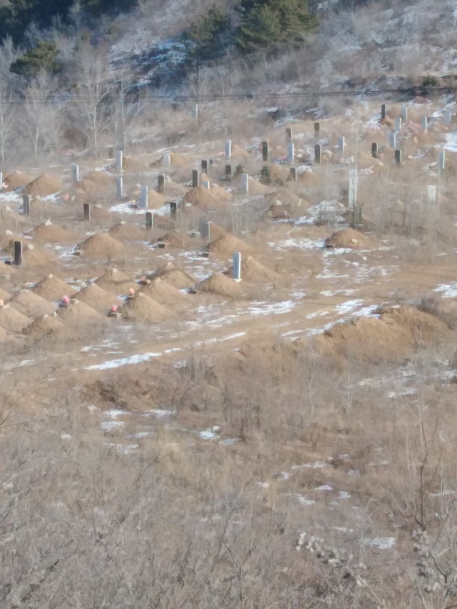 这是我们那边的坟墓