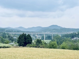 96F6F71E-1633-4DCC-82AD-B18D9F3CA52C/L0/001