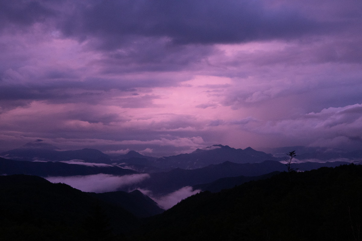 大自然真实的紫不舍得加任何滤镜的照片 - 摄影师芊芊 - 图虫