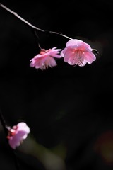 0CE53DF0-4085-47AF-AB67-1A57A5DBDD6A/L0/001