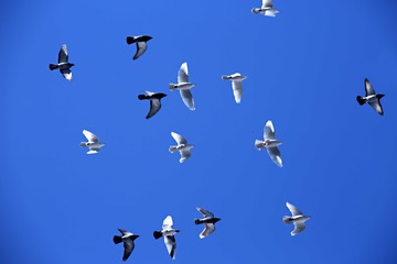 1 709A7949000