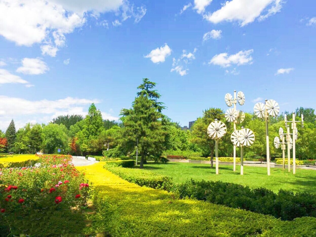 北京夏天的街心公园蓝天白云树绿花红白色的风车在柔风中欢快的转动