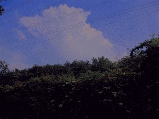 1047688