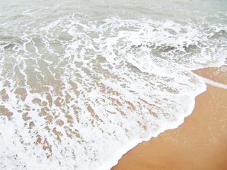 E59B24F8-5B9F-4B5A-AB07-F4C4EC565D69/L0/001