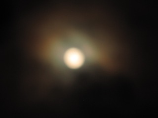 1183110