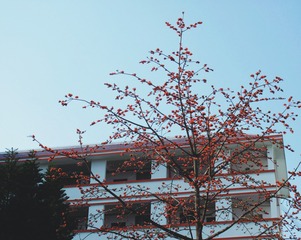1202275