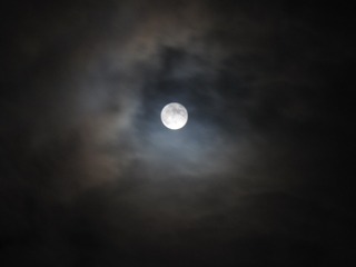 1183116