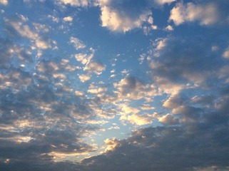 01390107-15AF-47F6-9112-0A20D390B18A/L0/001