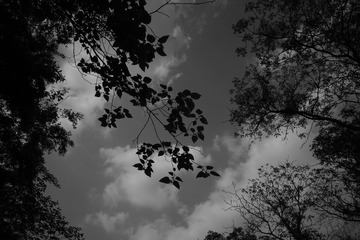 D1539719-B0C8-489F-BCC6-E2078E43758A/L0/001