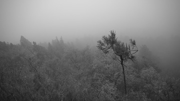ACA0D8B2-19C2-4AC5-933F-33285014CA04/L0/001