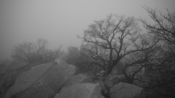 0A50FD60-1CA1-44F0-A555-4338699C4474/L0/001